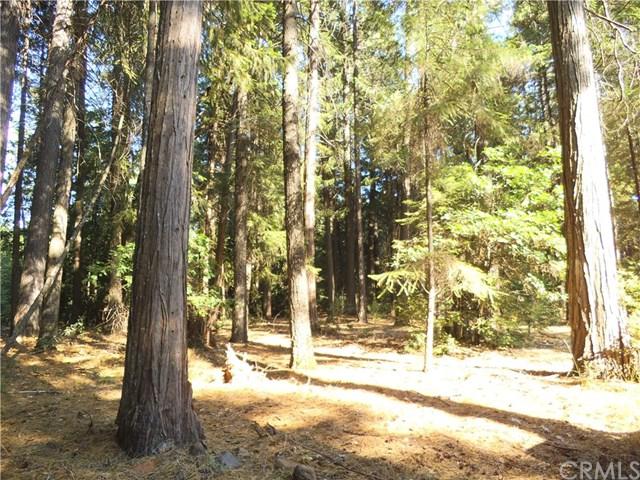 0 Doe Lane - Photo 1
