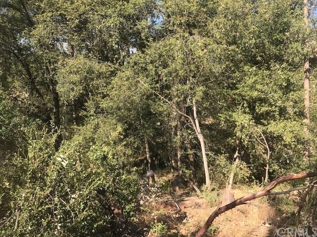 5659 Pilot Peak - Photo 1