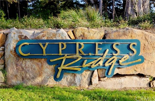 792 Cypress Ridge Parkway - Photo 1