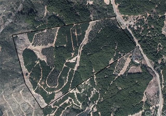 0 Camaron Road - Photo 1
