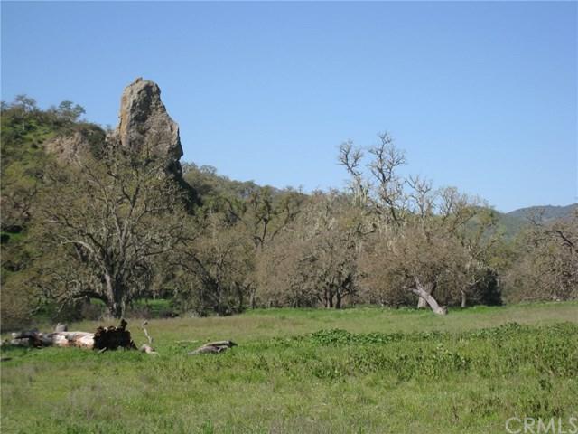 0 Nacimiento Lake Drive - Photo 1