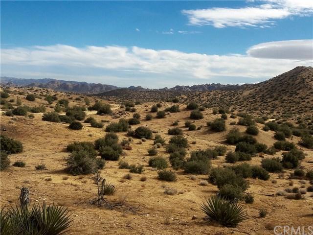 0 Tumbleweed Trail - Photo 1