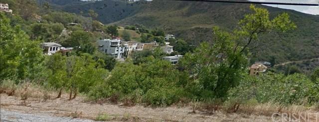 1 Latigo Cyn & Ocean View - Photo 1