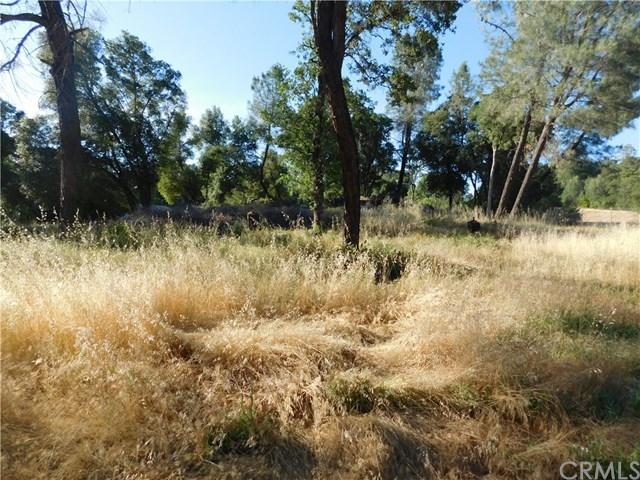 6181 Manzanita Avenue - Photo 1
