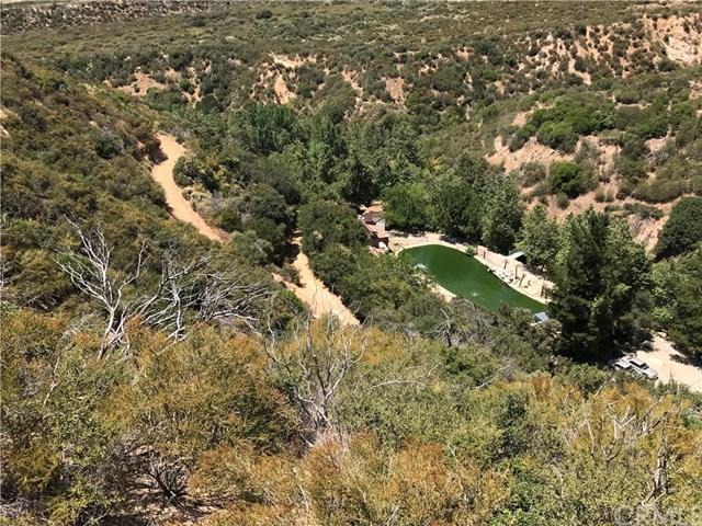 28875 Hwy 330 - Photo 1