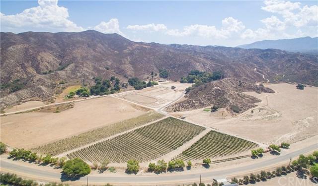 39100 Pauba Road - Photo 1
