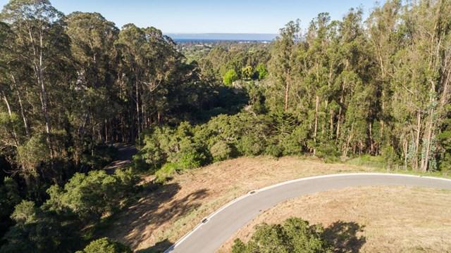 0 Lupine Lane - Photo 1