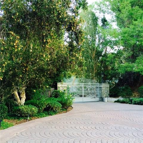 380 Chandler Ranch Road - Photo 1