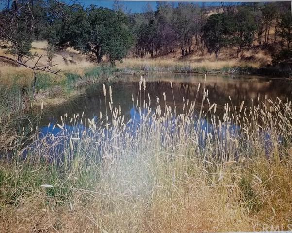 26600 Reiff Road - Photo 1
