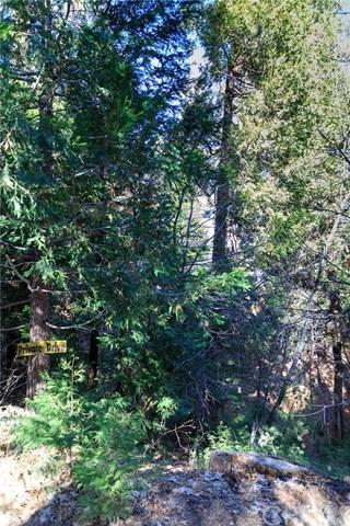 0 Fern Dell - Photo 1