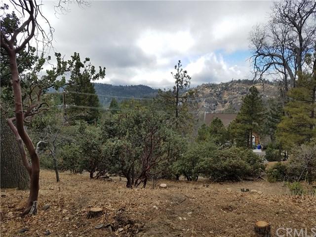 0 Grass Valley Road - Photo 1