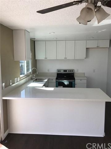 1002 Citron Street - Photo 1