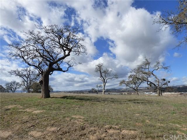 1665 Fire Rock Loop - Photo 1
