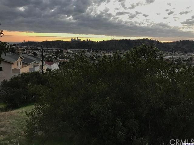 0 Altamont - Photo 1