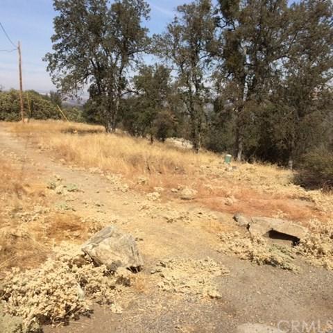 0-Lot 1306 Lilley Mountain Drive - Photo 1