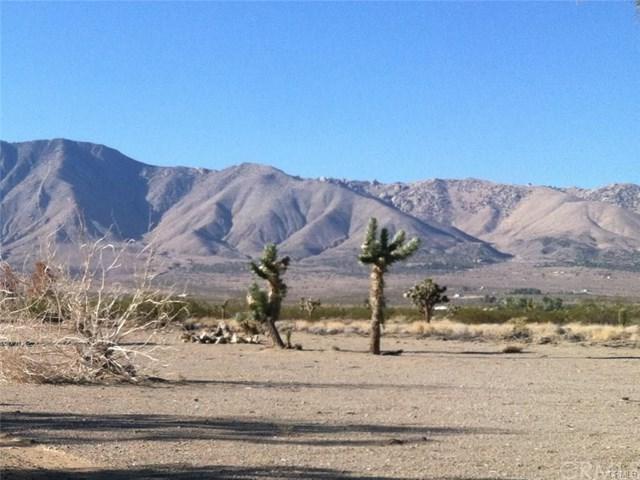 0 Desert Flower Road - Photo 1
