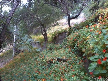 2403 Laurel Canyon Boulevard - Photo 1