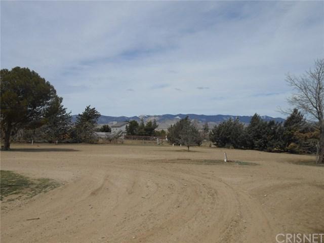 50450 258th Street - Photo 1