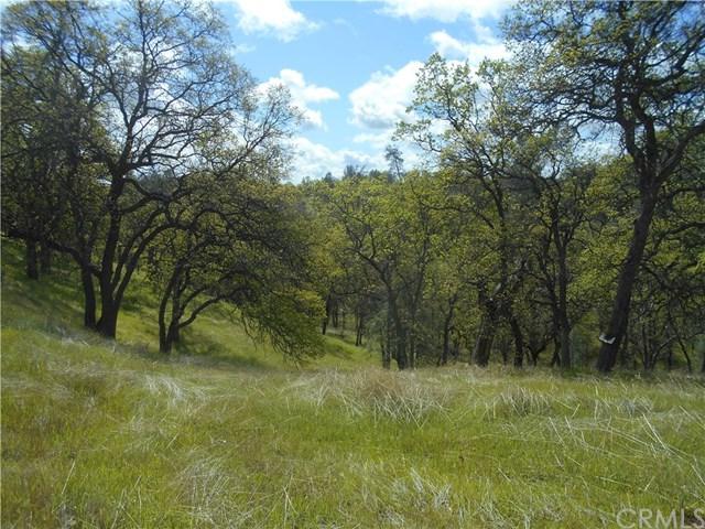 7049 Horseshoe - Photo 1