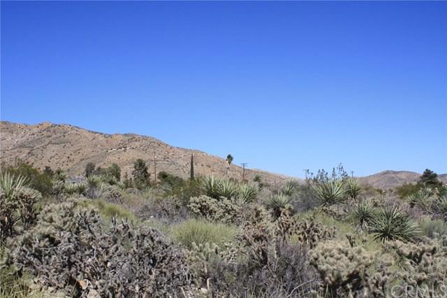 8757 Desert Willow - Photo 1
