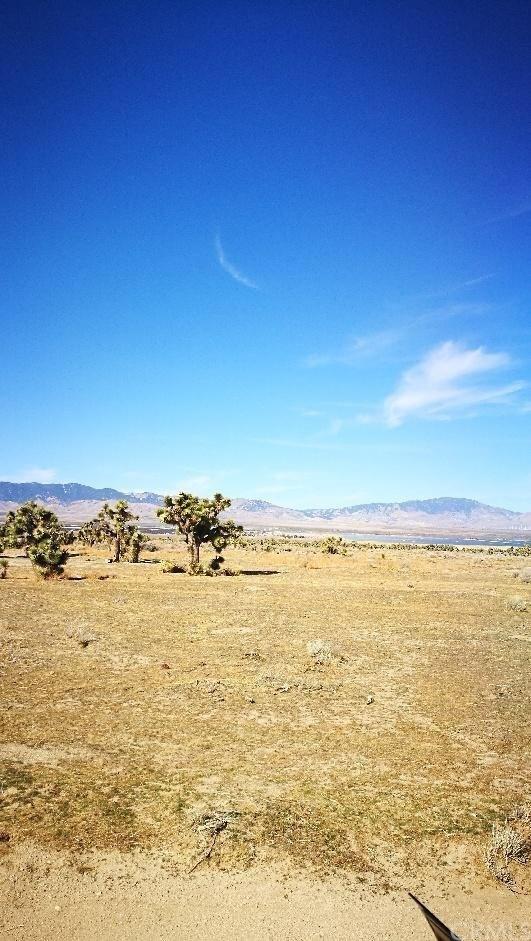 0 Little Morongo Road - Photo 1