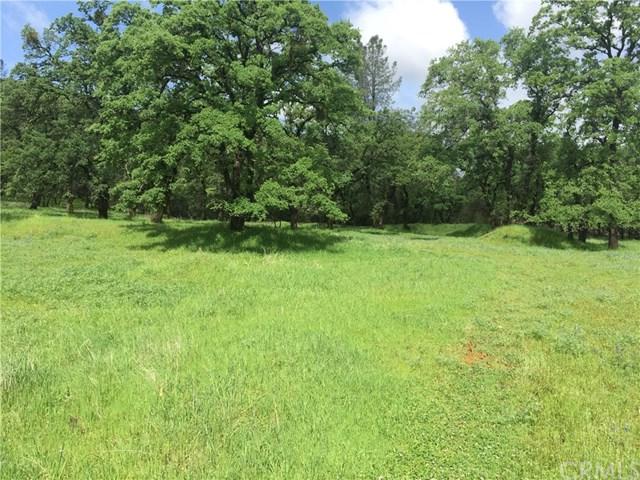 0 Oregon Gulch Road - Photo 1