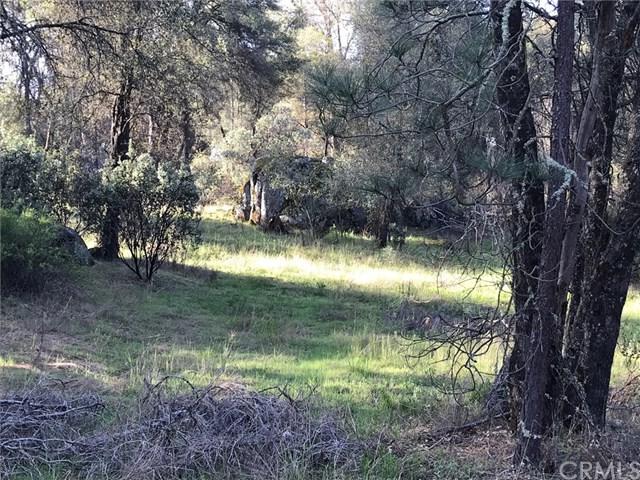 4011 Pacific Bars Road - Photo 1