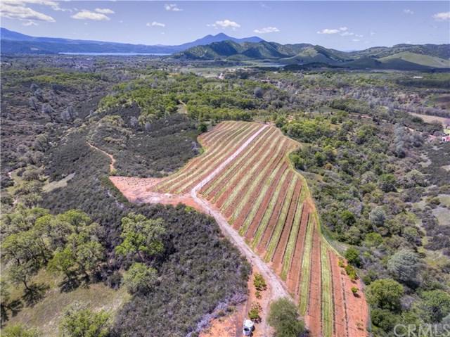 2050 Ogulin Canyon Road - Photo 1