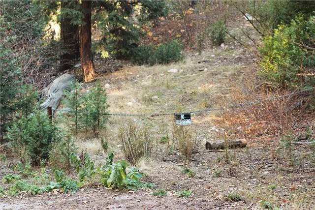 0 Maple Road - Photo 1