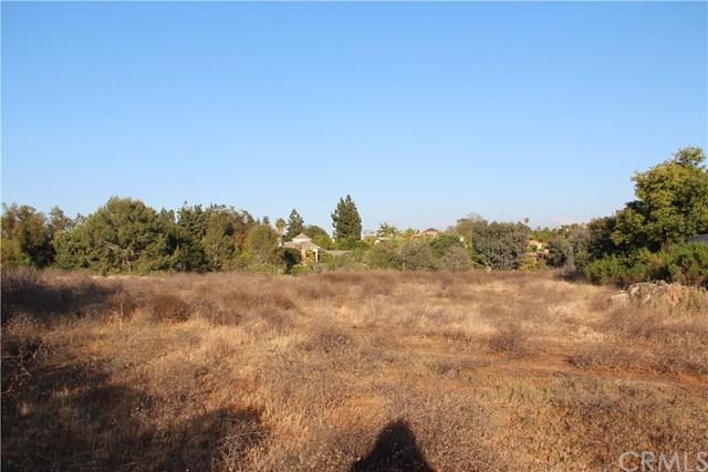 779 S Peralta Drive - Photo 1