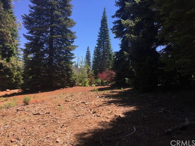 445 Snowy Peak Way - Photo 1