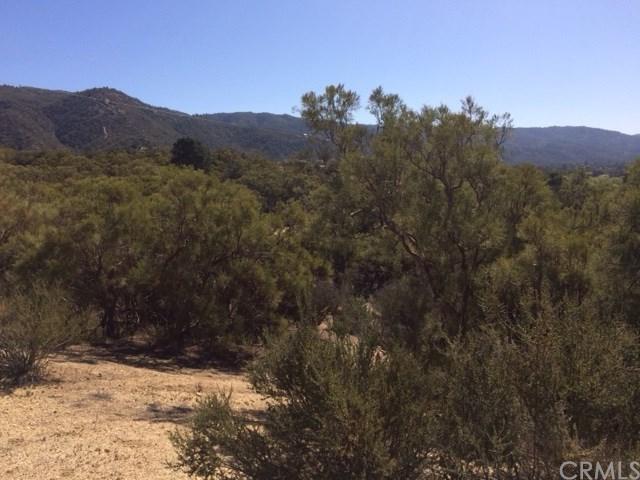57025 Horton Hills Road - Photo 1