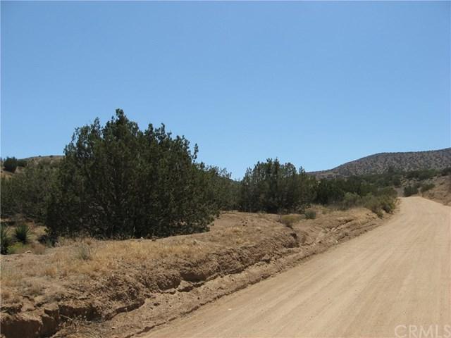 0 Vac/Cor Jason Rd/Homer Road - Photo 1