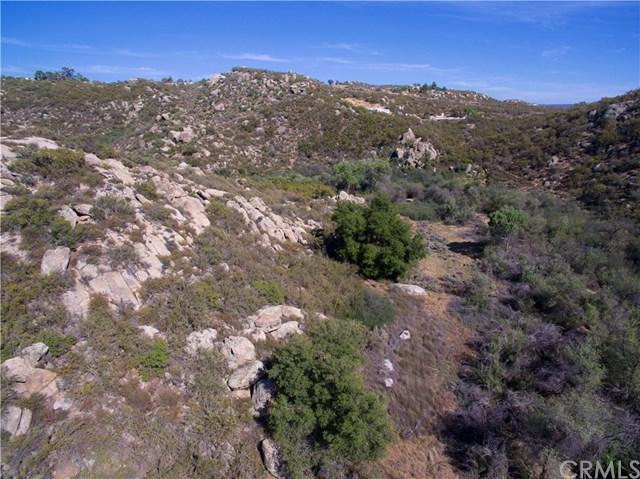 821 Lake Canyon Drive - Photo 1
