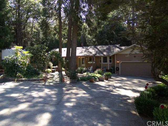 14148 Norwich Circle - Photo 1