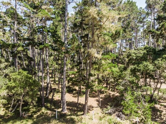 1062 Spyglass Woods Drive - Photo 1