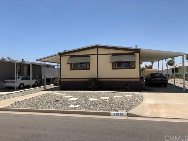 26101 Ivory Palm Drive - Photo 1
