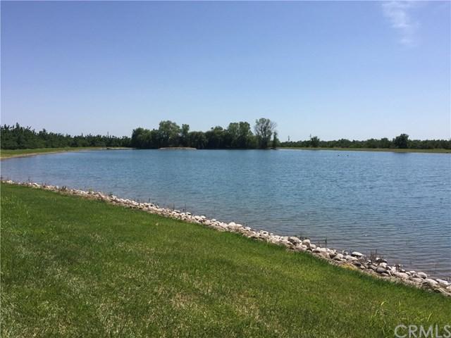 5251 Bell Road - Photo 1