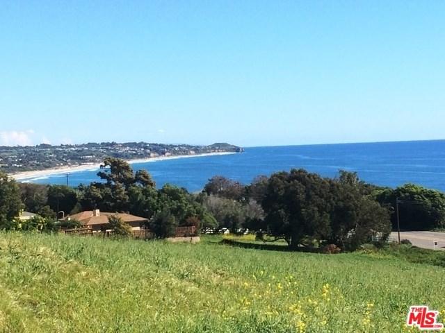 31677 Pacific Coast Highway - Photo 1