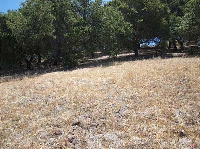 564 Paseo Street - Photo 1