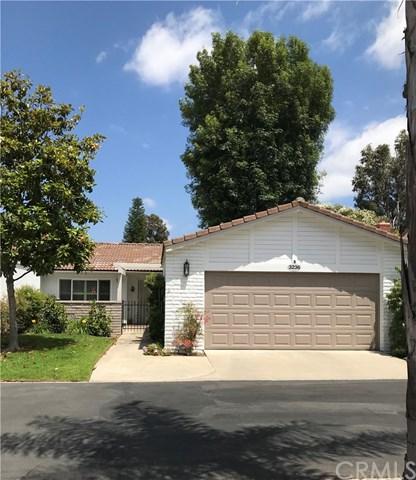 3236 San Amadeo - Photo 1
