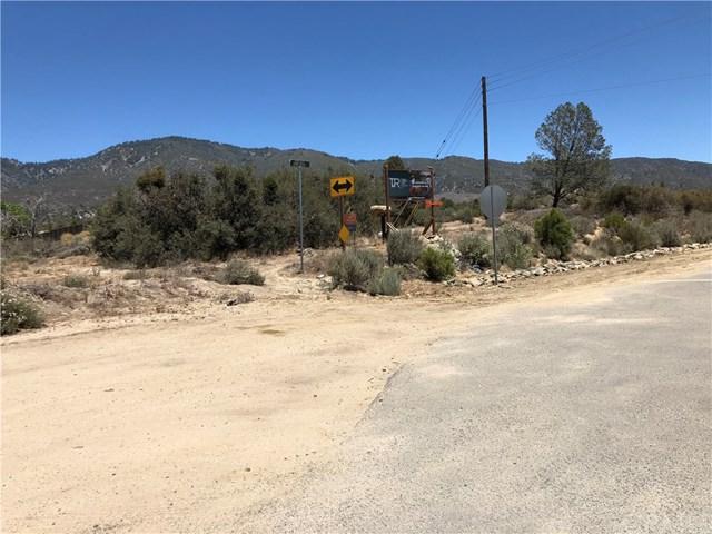 37202 Polliwog Road - Photo 1