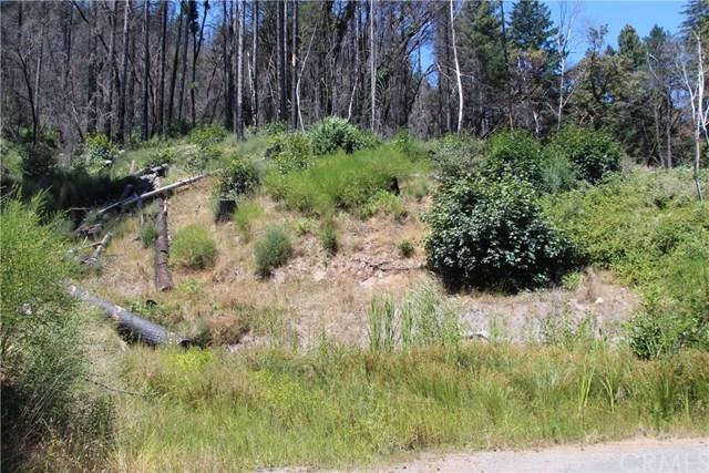 17435 Parnassus Road - Photo 1