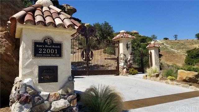 22001 Santa Susana Pass Road - Photo 1