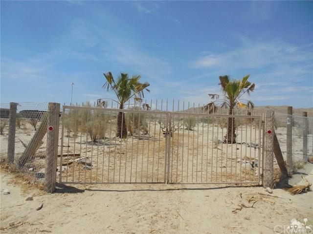 Willis Palms - Photo 1