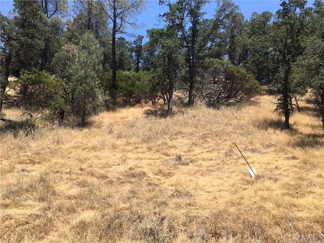 14160 Casentini Drive - Photo 1