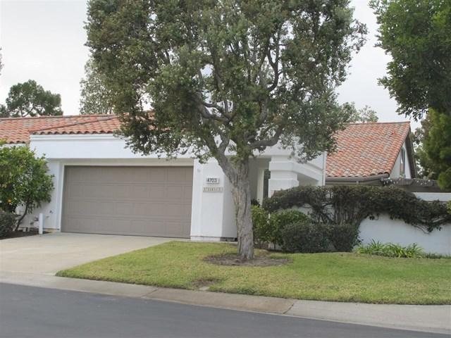 4703 Denia Way - Photo 1