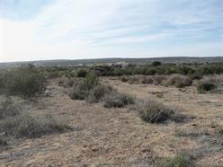 600 Tierra Del Sol - Photo 1