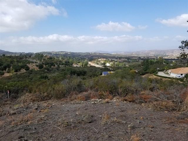 2 Mt Woodson Heights - Photo 1
