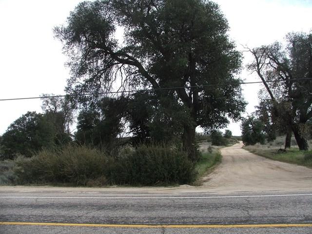 196 Montezuma Valley Road - Photo 1